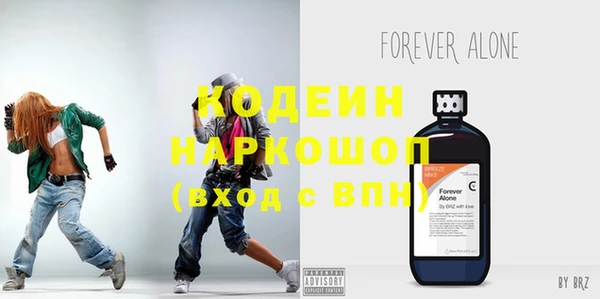 дживик Козельск
