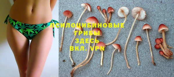 мет Козловка