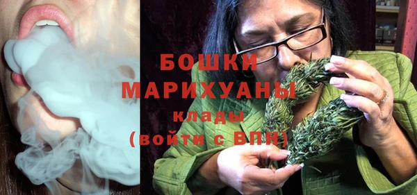 дживик Козельск
